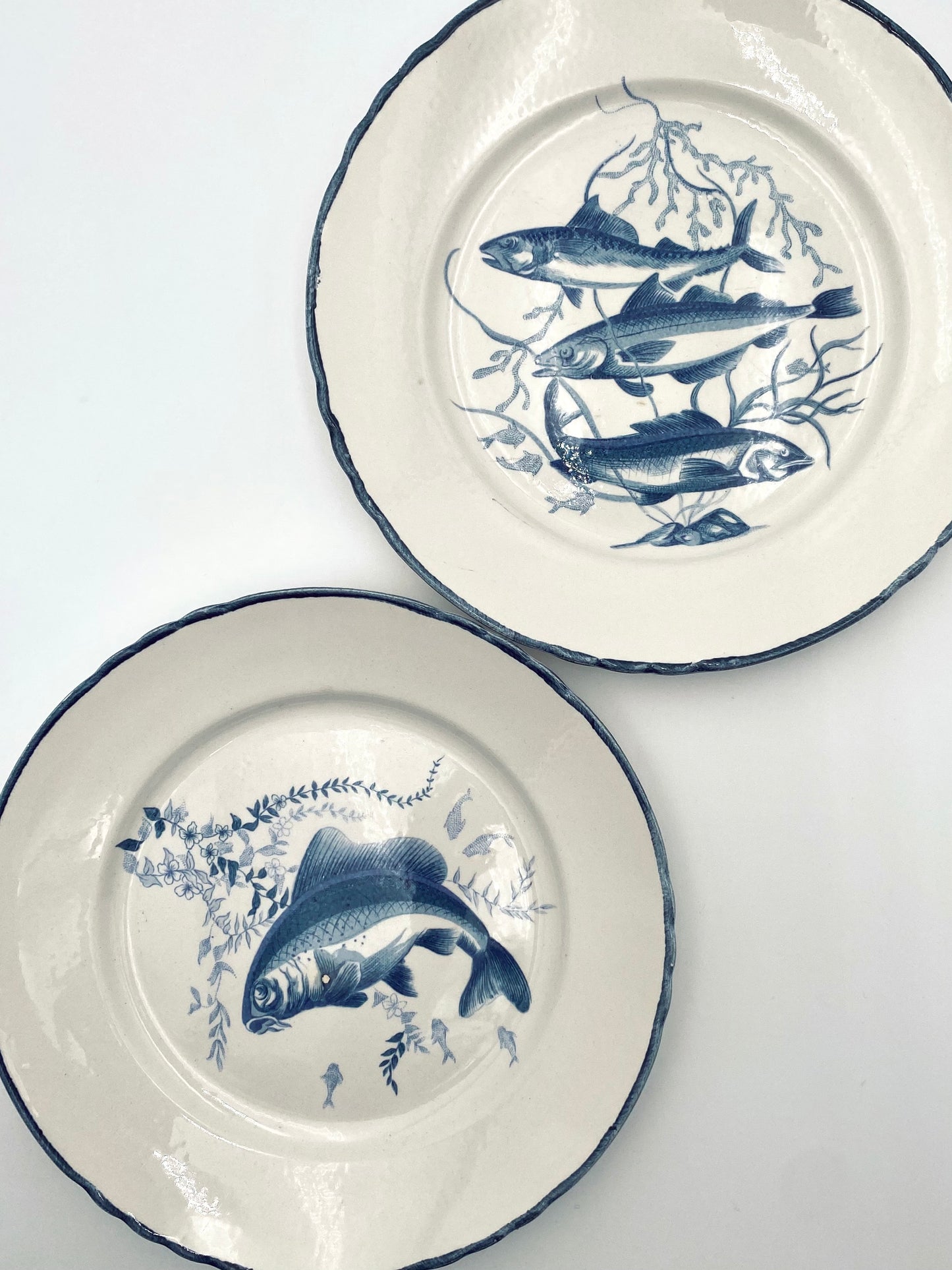 L'assiette de poisson