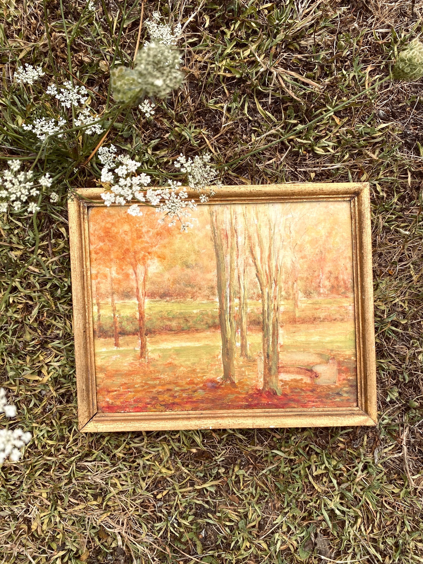 Les arbres en automne