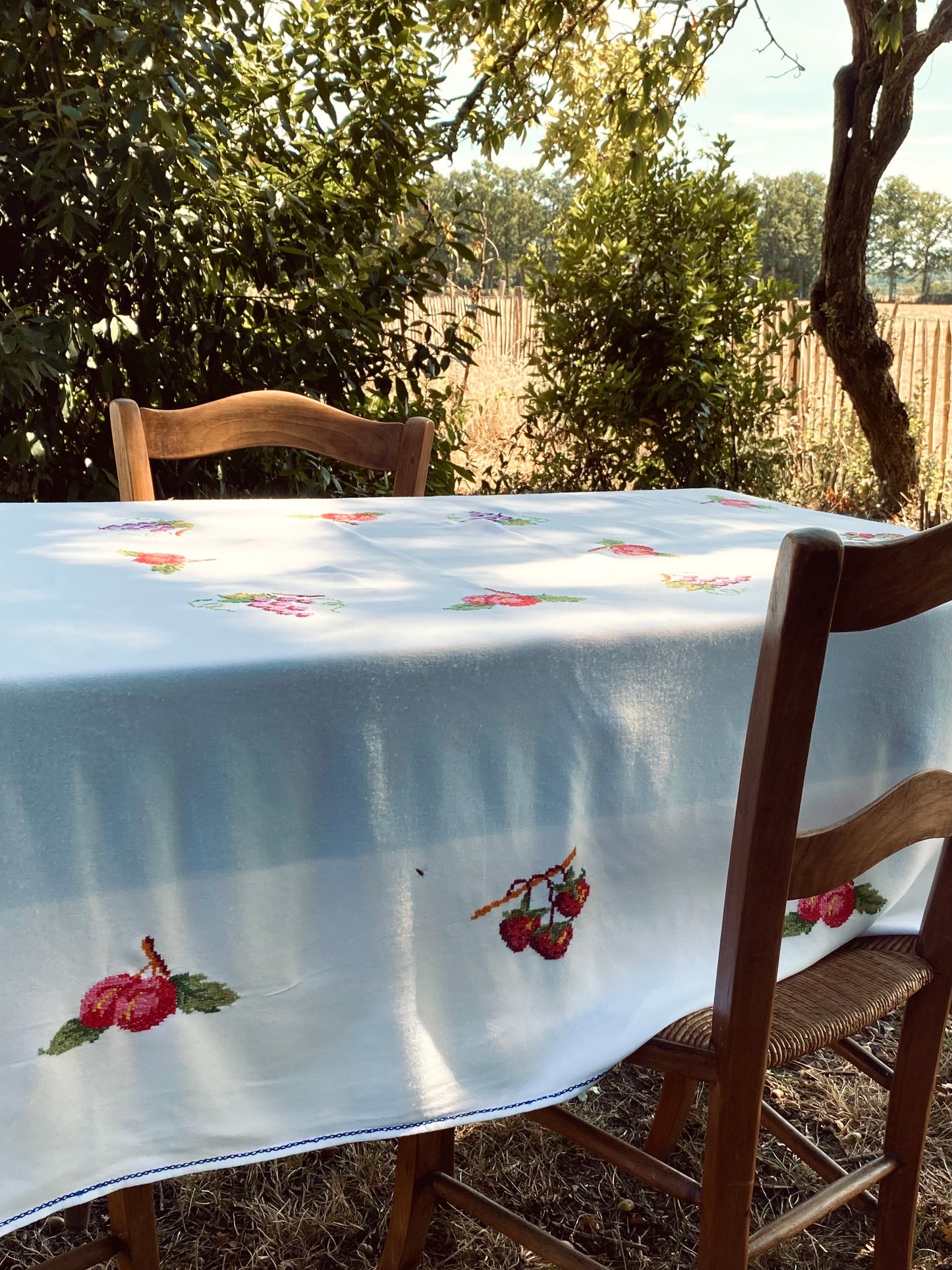 La nappe avec des fruit brodés