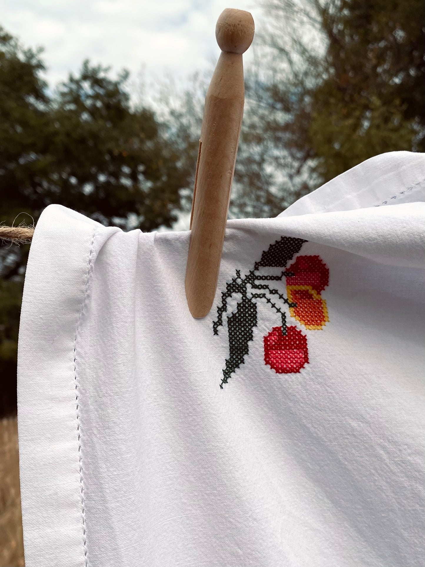 La nappe avec les cerises