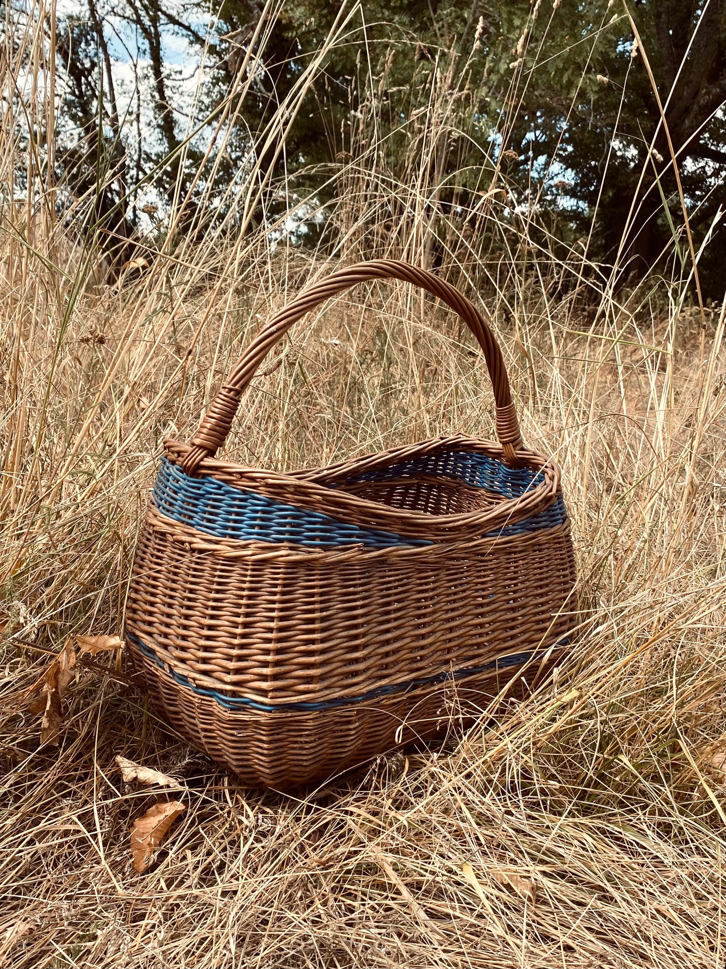 Le panier avec un peu de bleu