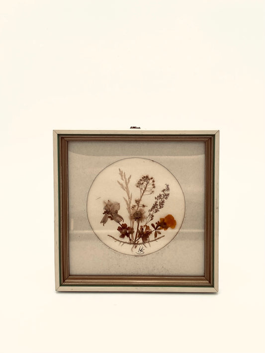 La fleur sur le mur