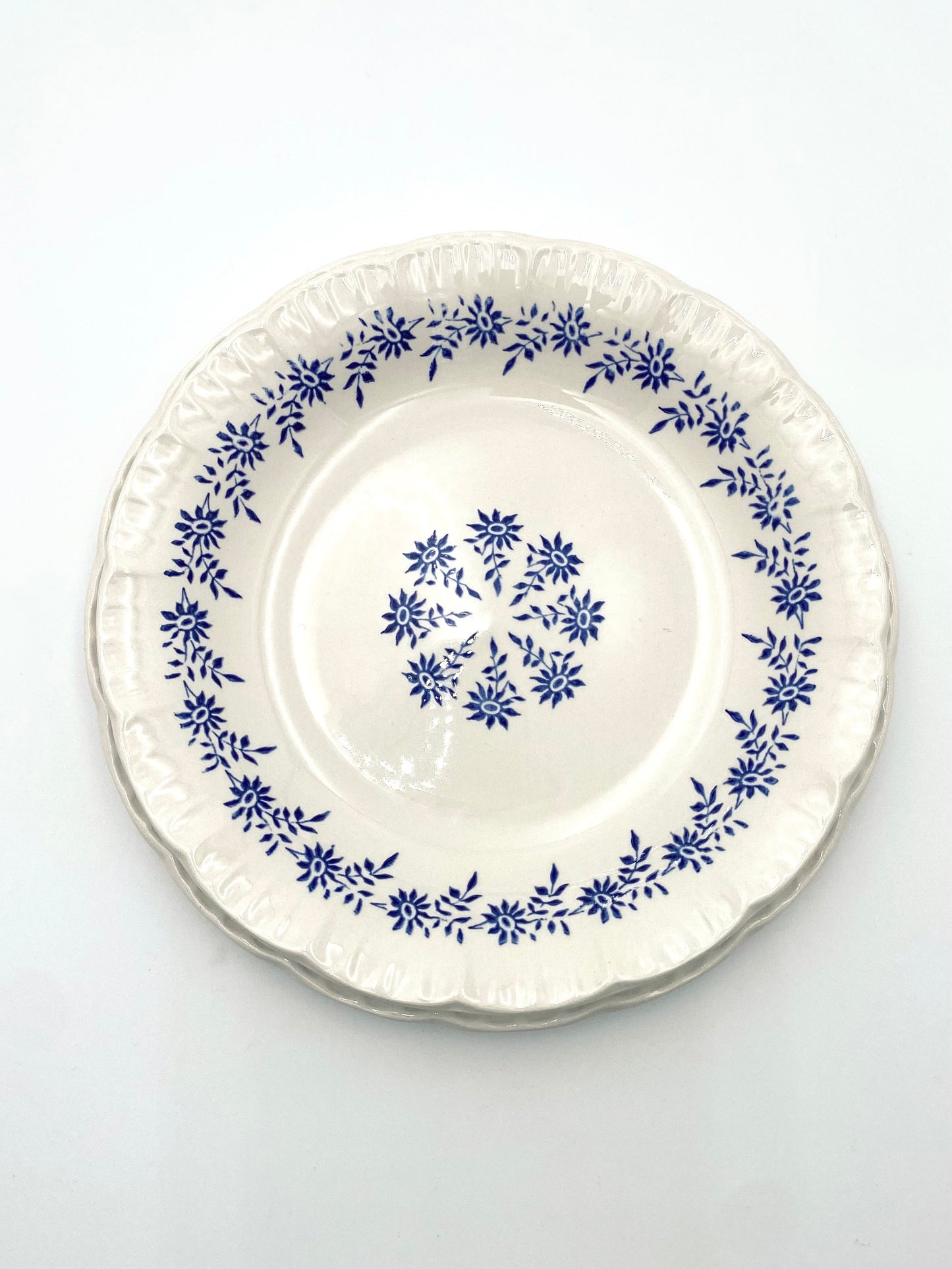 L'assiette avec de petites fleurs bleues