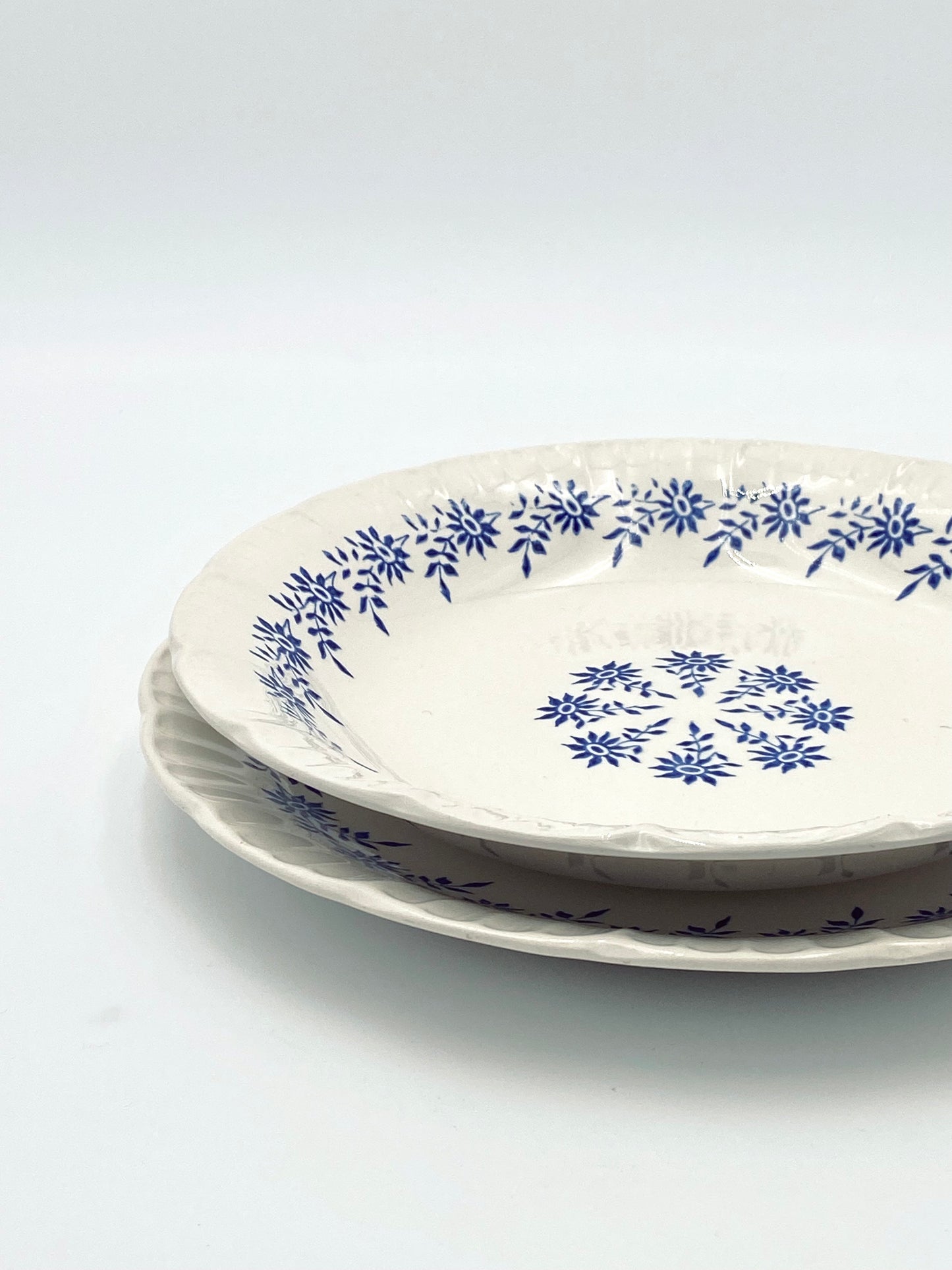 L'assiette avec de petites fleurs bleues