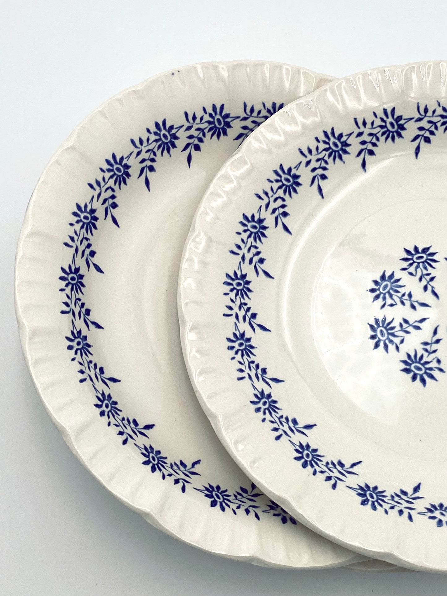 L'assiette avec de petites fleurs bleues