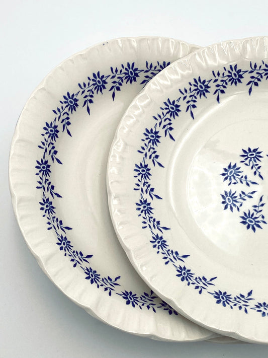 L'assiette avec de petites fleurs bleues