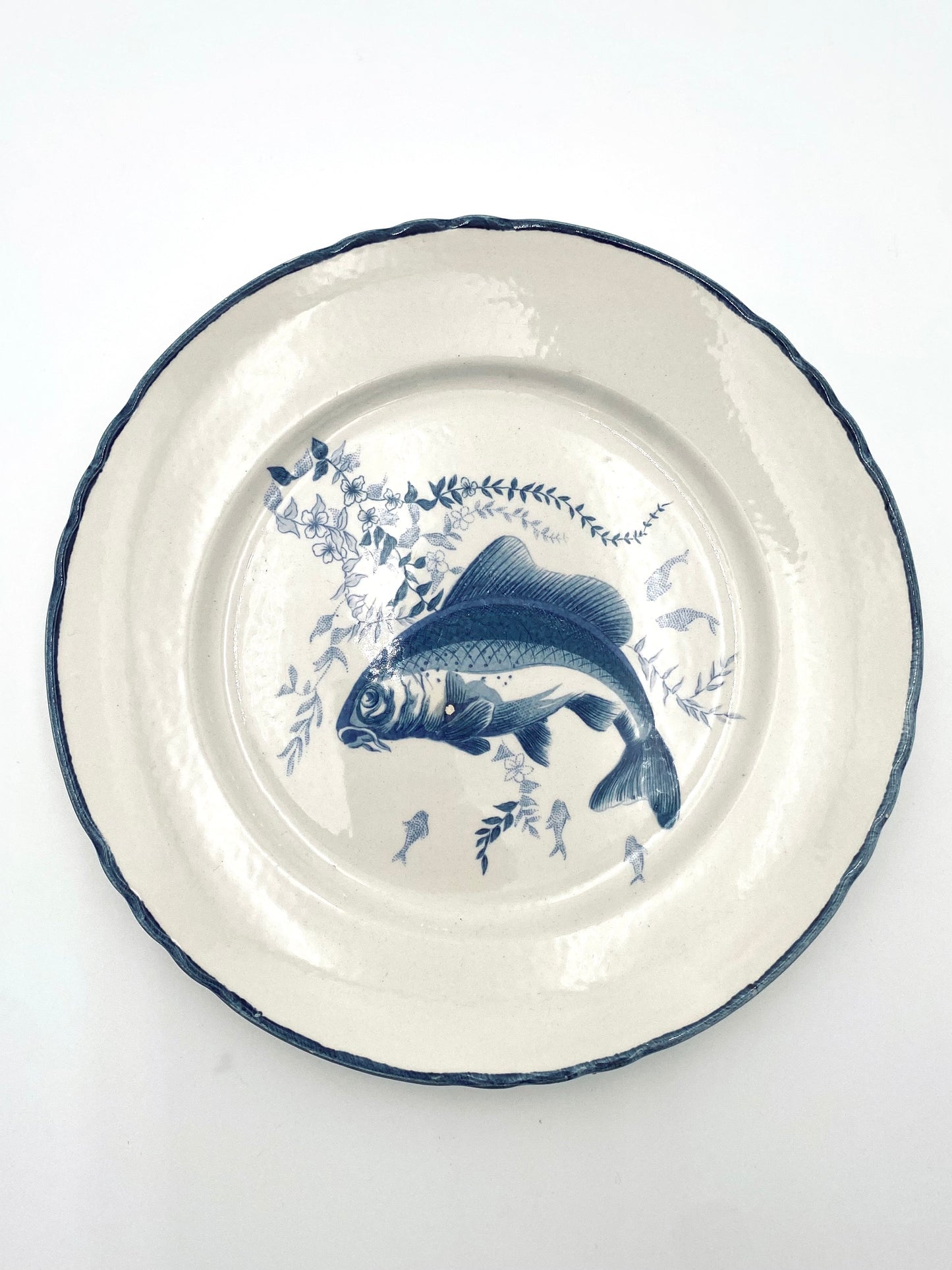 L'assiette de poisson