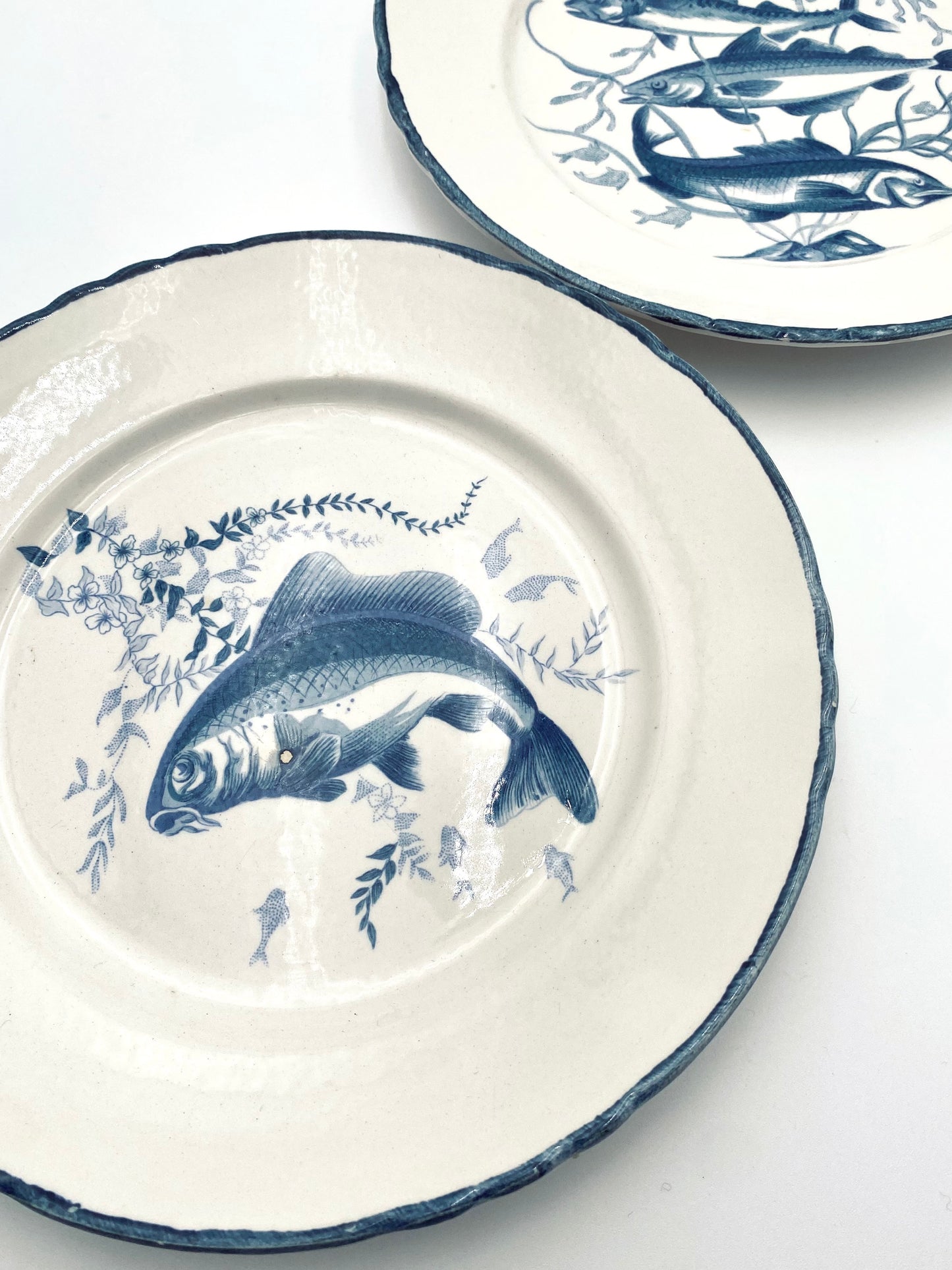 L'assiette de poisson