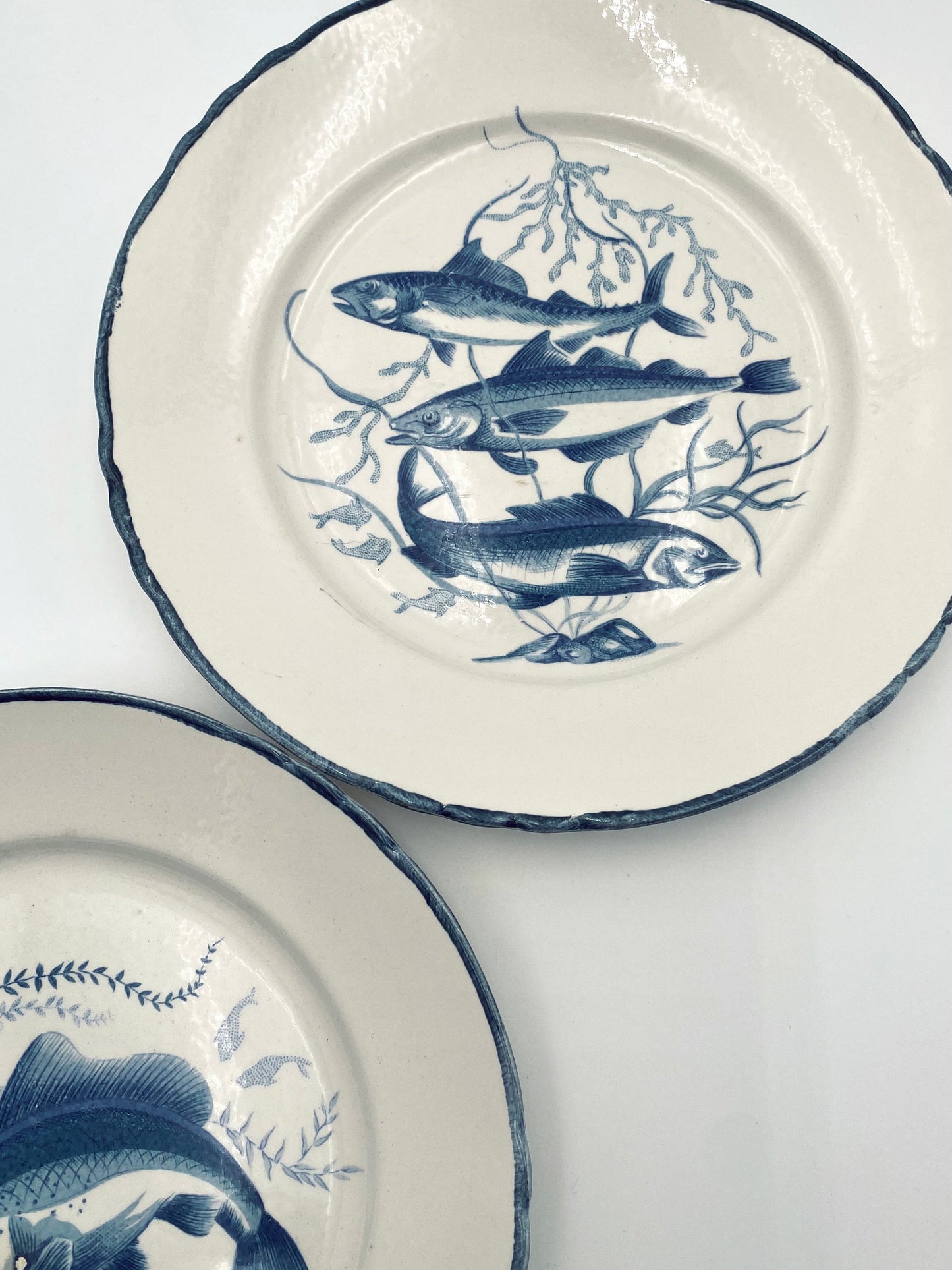 L'assiette avec trois poissons