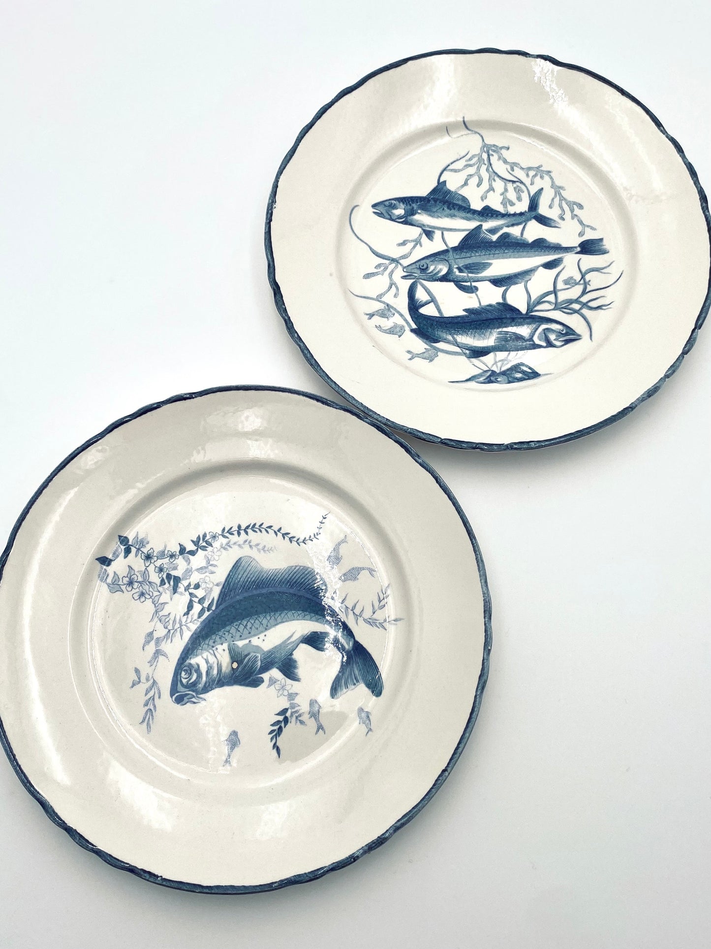 L'assiette avec trois poissons