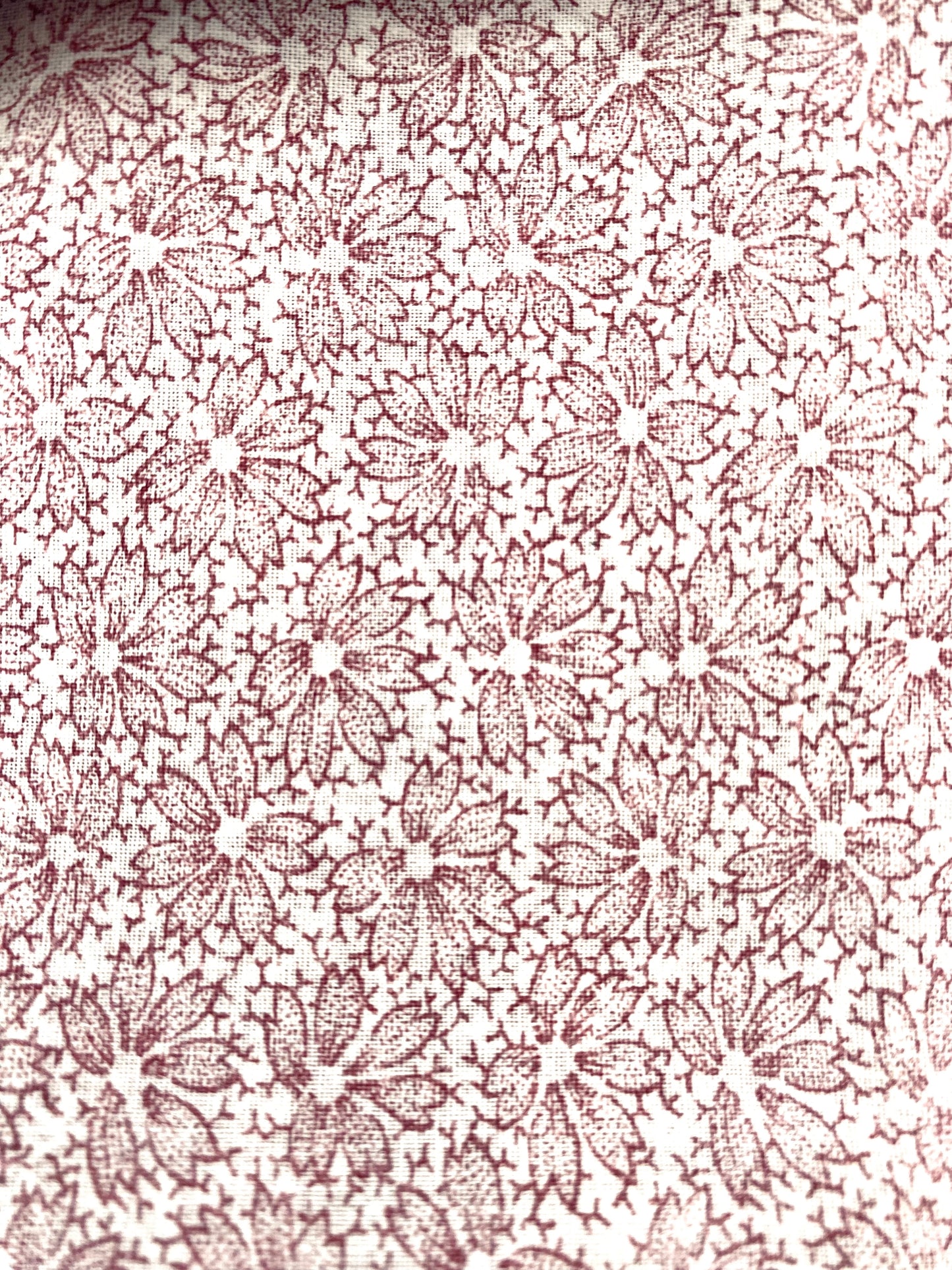 Les serviettes en coton
