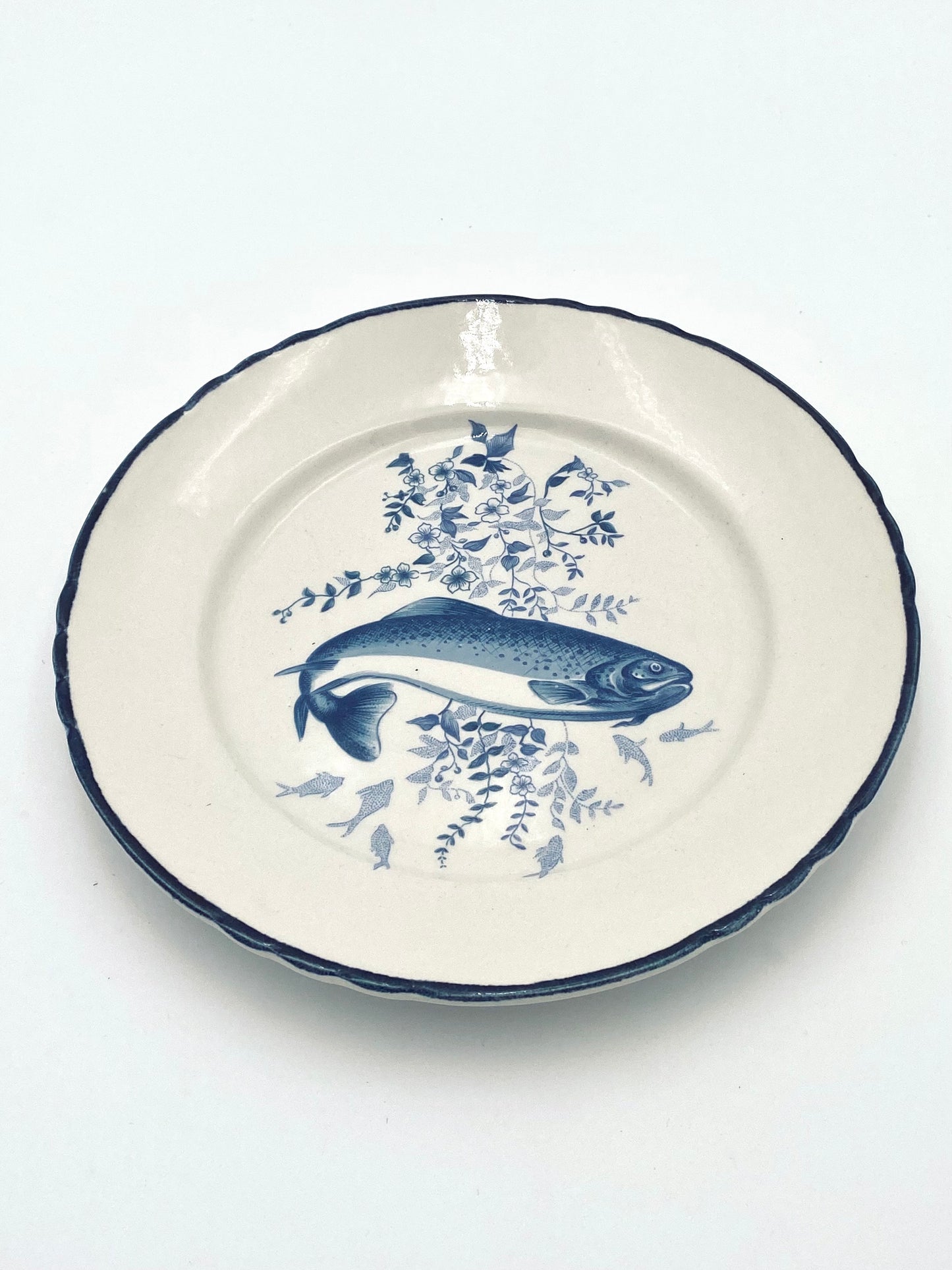L'assiette de poisson