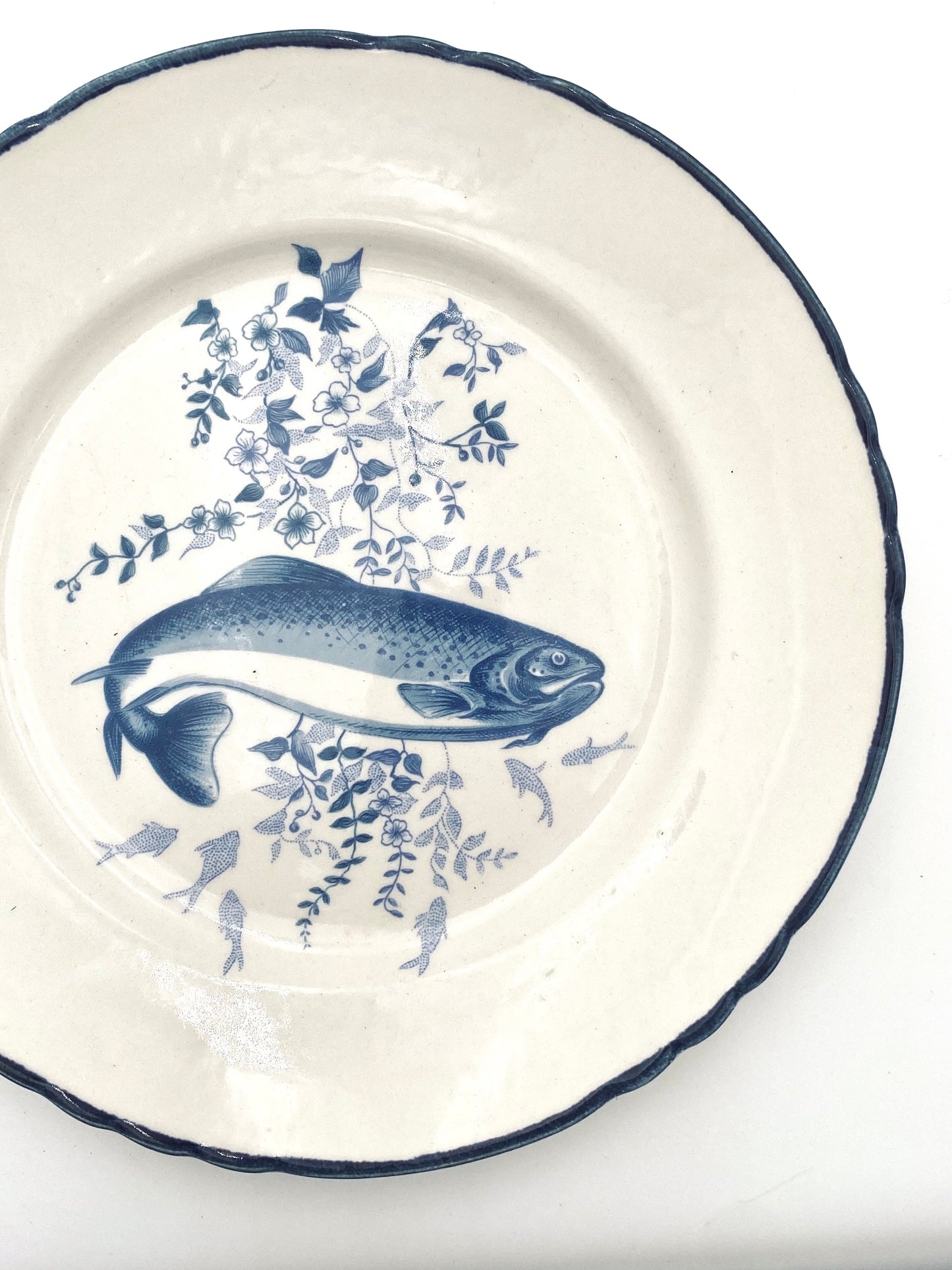 L'assiette de poisson