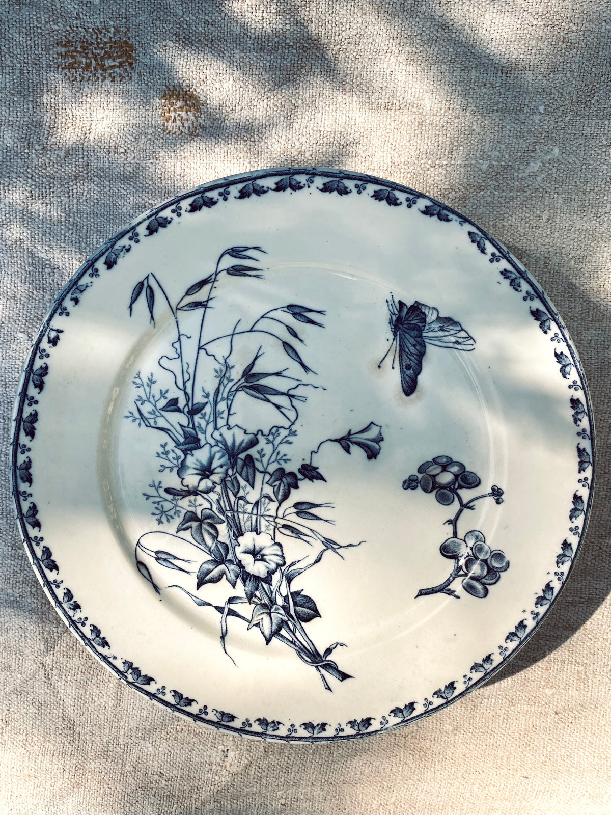 Les six assiettes Terre de Fer Carmen