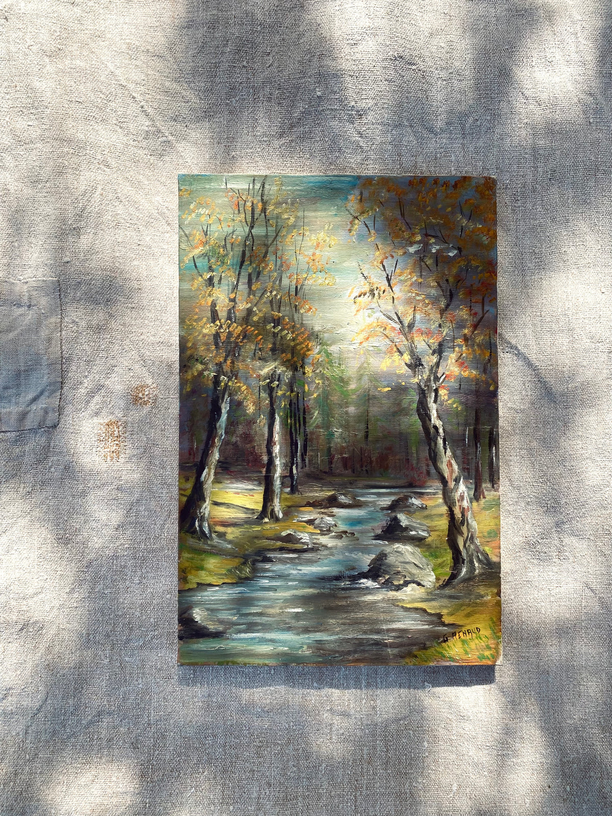 Les arbres et un ruisseau