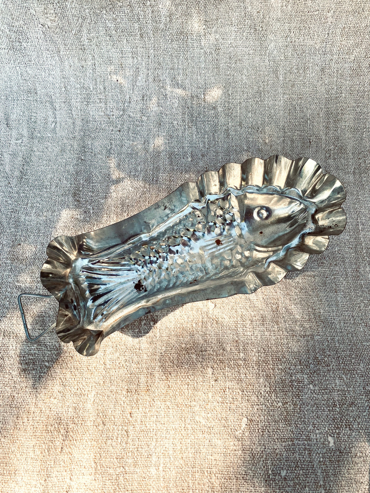 Le petit poisson en métal