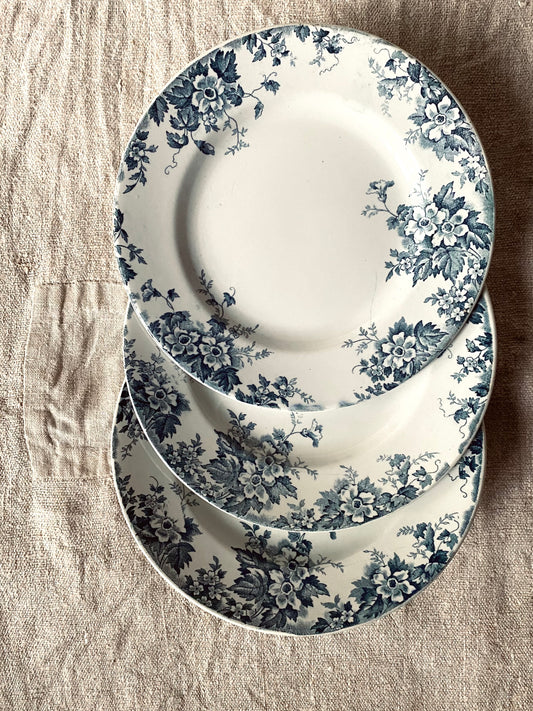 Les assiettes 'Marie-Louise' de Saint-Amand
