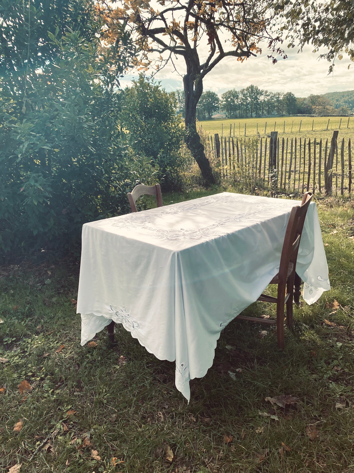 La nappe de rêve