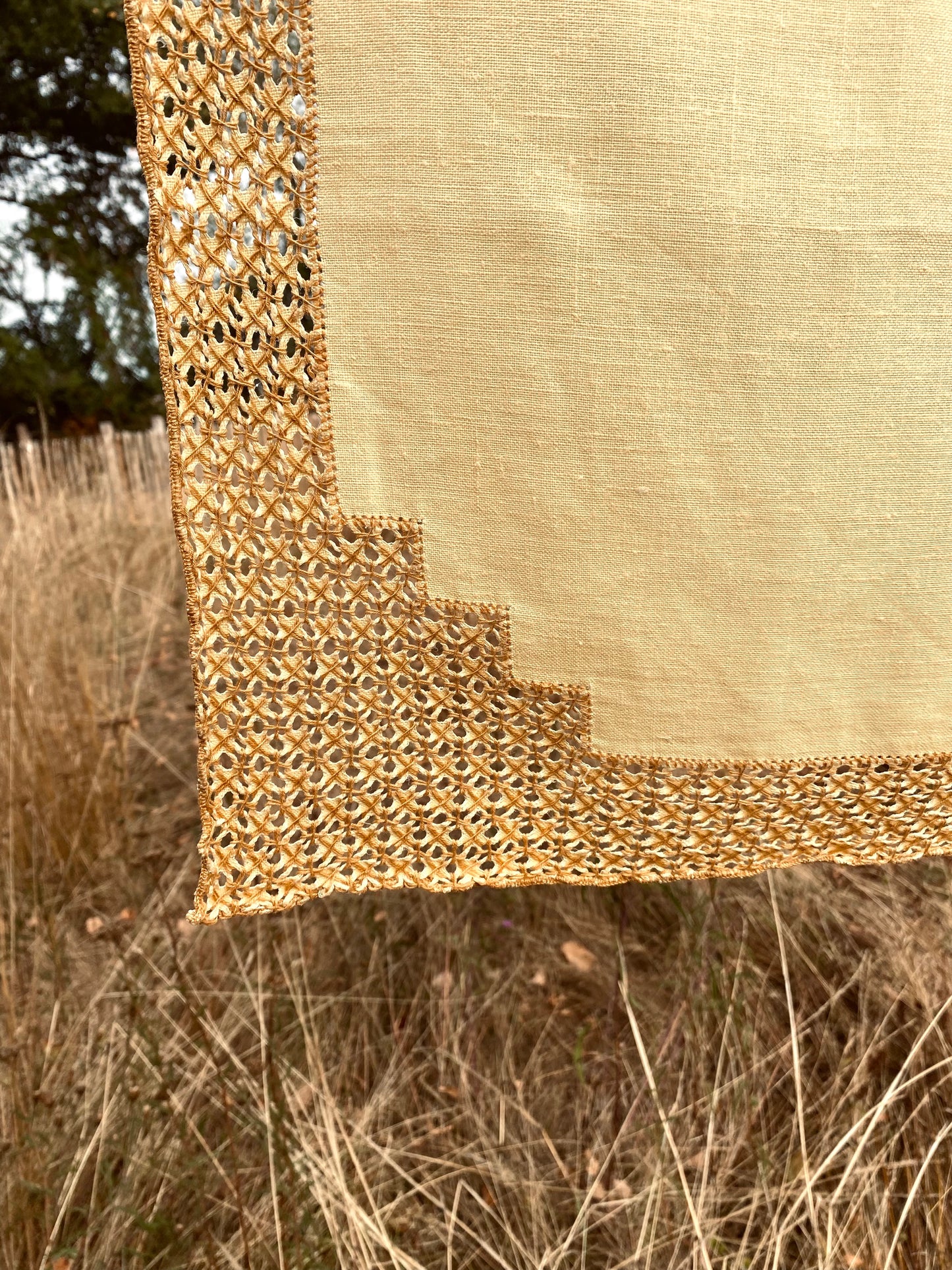 La nappe jaune