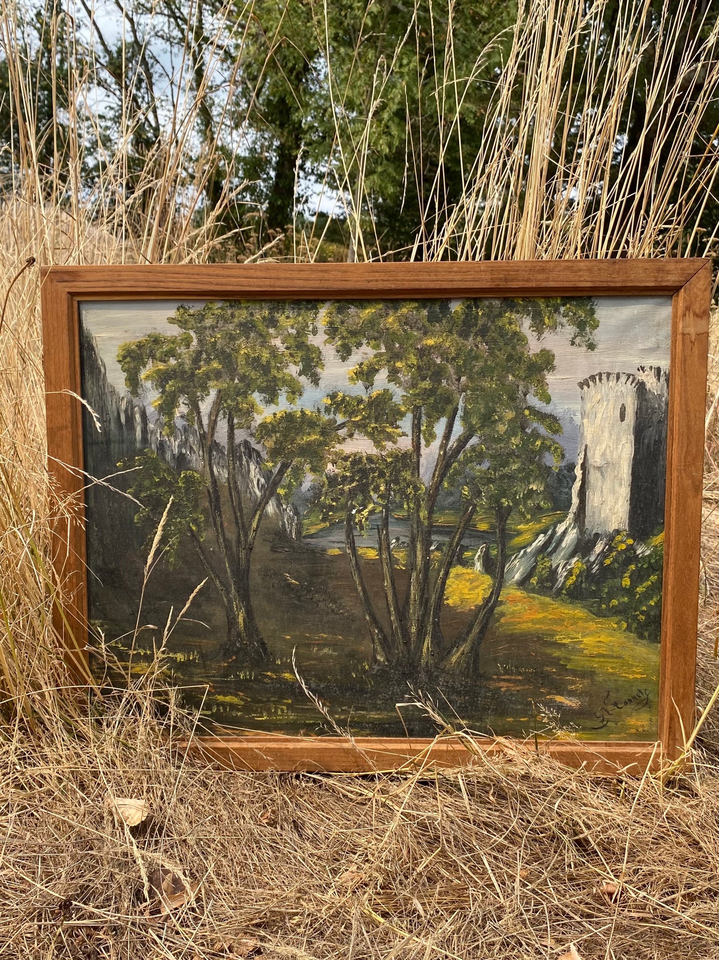 Le paysage
