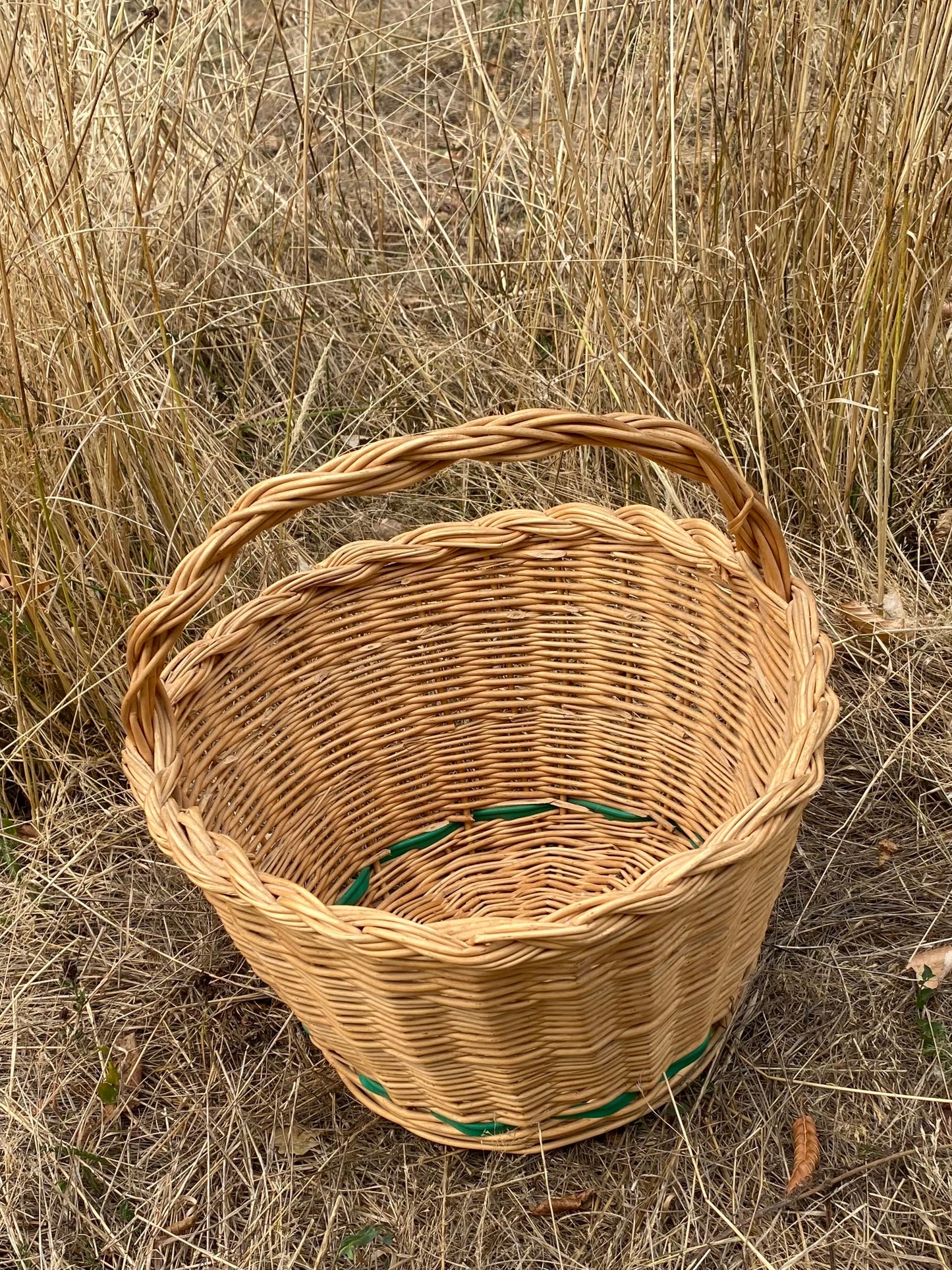 Le panier à rayures vertes