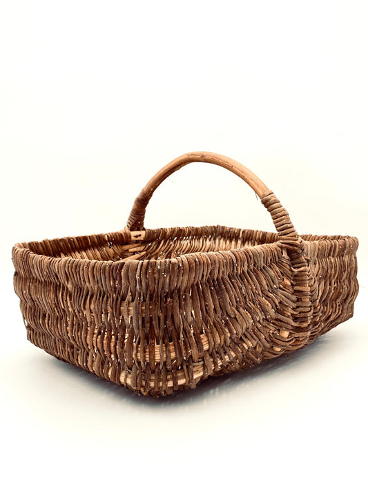 Le panier à champignons