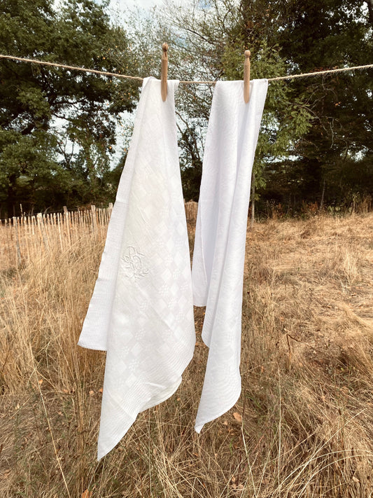 La très grande serviette blanche